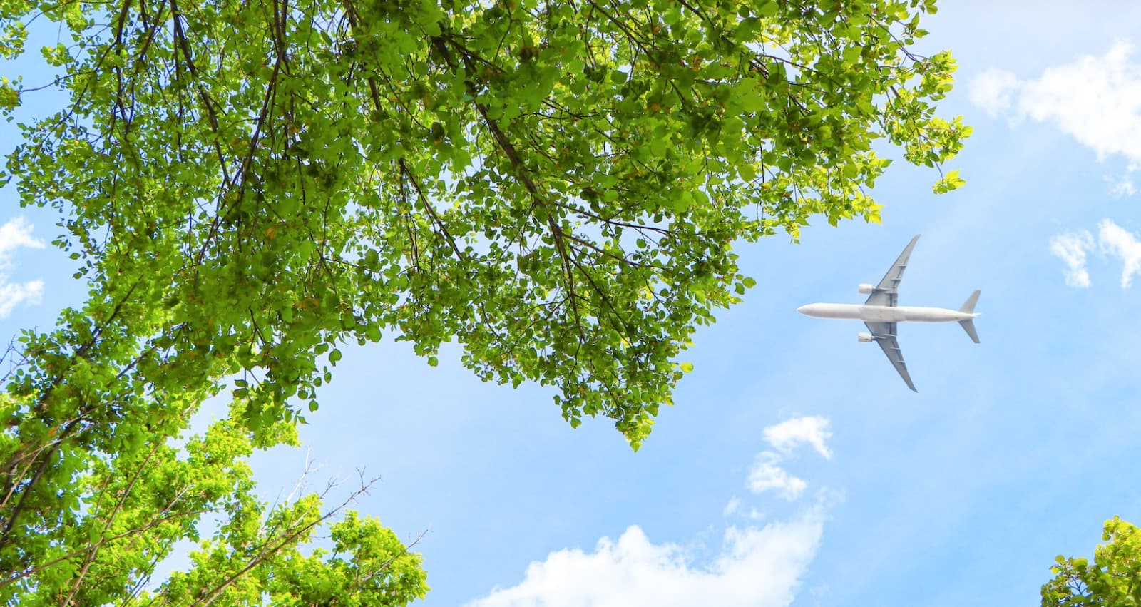 FLIGHT SEARCH IMAGES V2